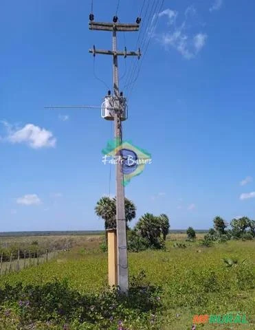 Fazenda no Maranhão com 641 hectares - região da Parnaíba