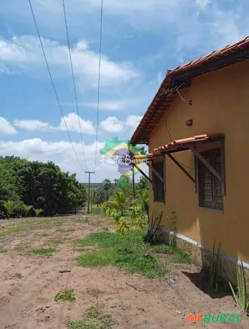 Fazenda no Maranhão com 641 hectares - região da Parnaíba