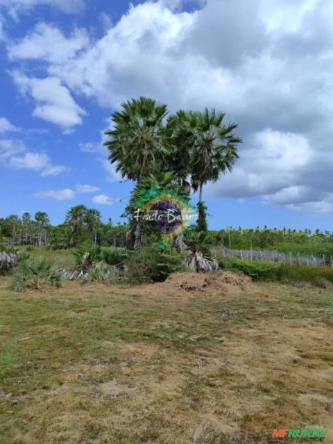 Fazenda no Maranhão com 641 hectares - região da Parnaíba