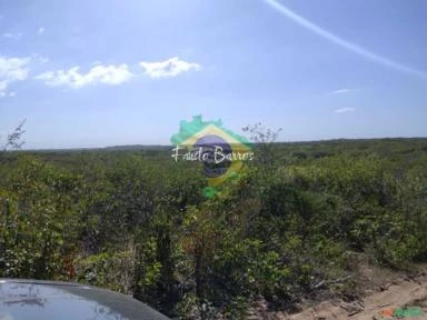 Fazenda no Maranhão com 641 hectares - região da Parnaíba