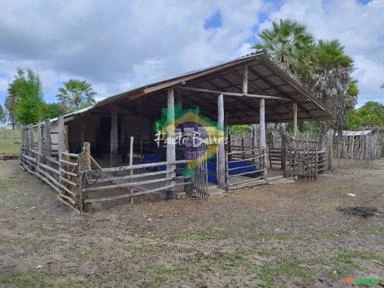 Fazenda no Maranhão com 641 hectares - região da Parnaíba