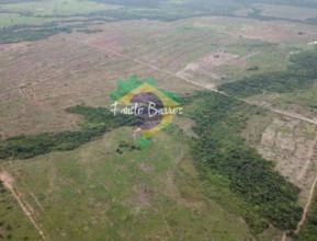 Fazenda de Soja com 4.328 hectares - Mato Grosso