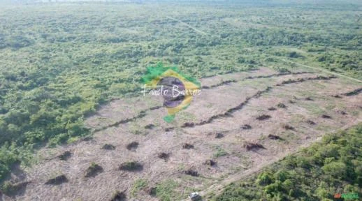 Fazenda de Soja com 4.236 hectares - Mato Grosso