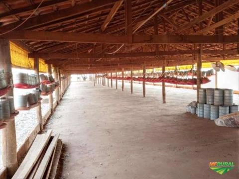 Vigas de Peroba Imagem Vigas de Peroba