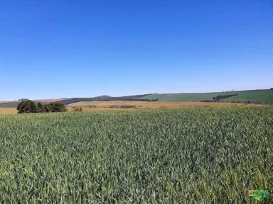 Fazenda em Sengés