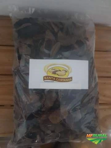 Cascas de castanha Imagem Cascas de castanha