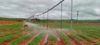 Pivot Irrigação 2.6 ha Semi novo Imagem Pivot Irrigação 2.6 ha Semi novo