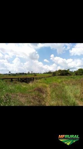 Fazenda Top 420hectares