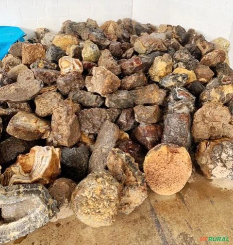 Agatas brutas - produção em grande escala de pedras agatas, calcedônia e outras