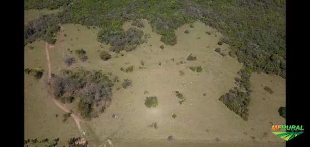 Fazenda Santo Antônio