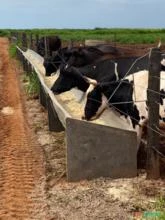 Cocho Plástico para confinamento