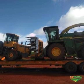 Serviço de Corte de Silagem Forrageira alto motris Serviço de Corte de Silagem Forrageira alto motris