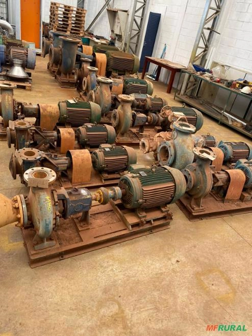 Conjuntos motor bombas centrifugas Equipe (Estoque na descrição) Imagem Conjuntos motor bombas centrifugas Equipe (Estoque na descrição)
