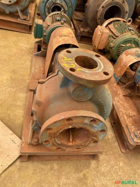 Conjunto Motor Bomba Equipe Modelo: BRF-VC-21 Imagem Conjunto Motor Bomba Equipe Modelo: BRF-VC-21