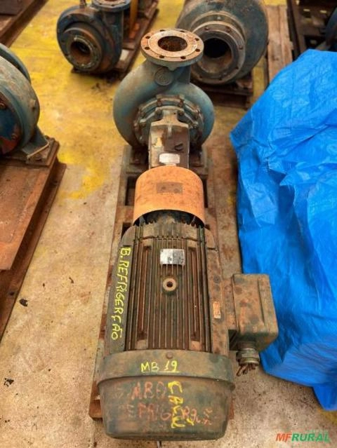 Conjunto Motor Bomba Equipe SN-100-31 Vazão: 150M³/H X-35MCA Imagem Conjunto Motor Bomba Equipe SN-100-31 Vazão: 150M³/H X-35MCA