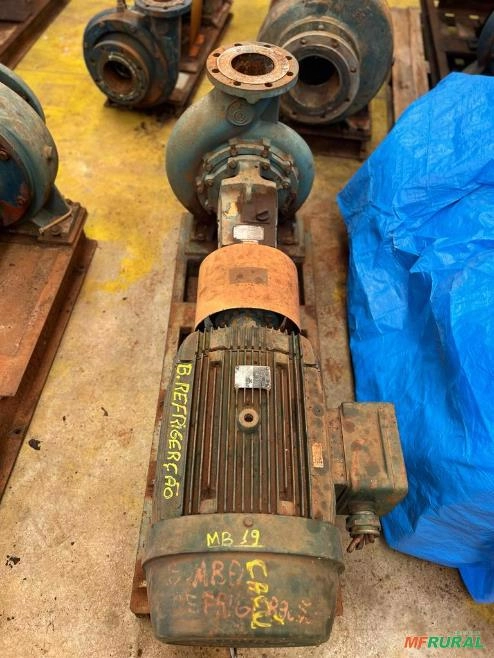 Conjunto Motor Bomba Equipe SN-100-31 Vazão: 150M³/H X-35MCA Imagem Conjunto Motor Bomba Equipe SN-100-31 Vazão: 150M³/H X-35MCA