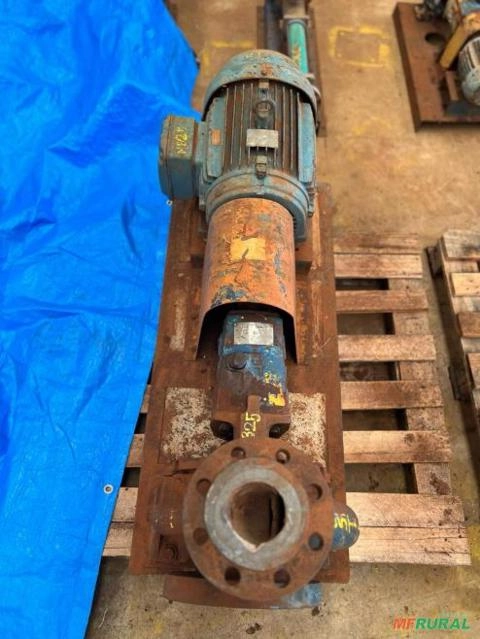 Conjunto Motor Bomba Equipe BRF VD22 Vazão:90M³ X3MCA Imagem Conjunto Motor Bomba Equipe BRF VD22 Vazão:90M³ X3MCA