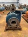 Bomba Indsteel RV 50-205 Vazão:20M³/H X 100MCA Imagem Bomba Indsteel RV 50-205 Vazão:20M³/H X 100MCA