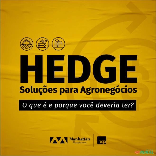 Assessoria de investimentos Imagem Assessoria de investimentos