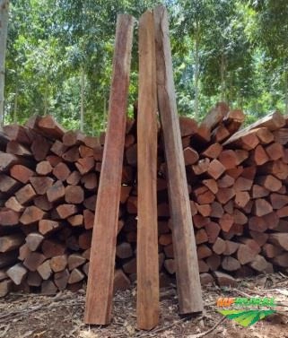 Postes / Mourão para cerca de Urunday Imagem Postes / Mourão para cerca de Urunday