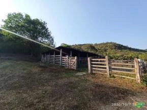 Vendo Fazenda