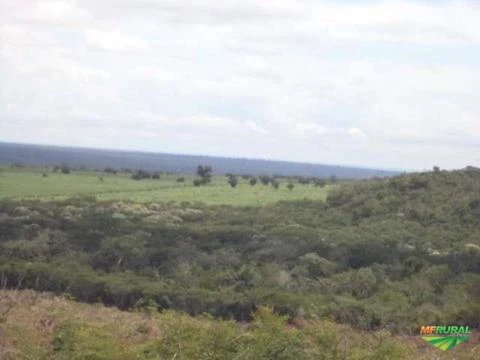 Fazenda no Piauí