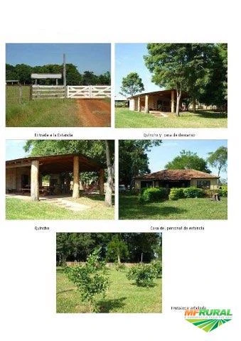 Fazenda no Paraguai