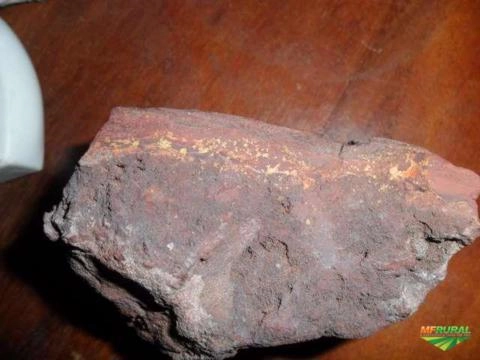 Jazida de ouro Amazonas Imagem Jazida de ouro Amazonas