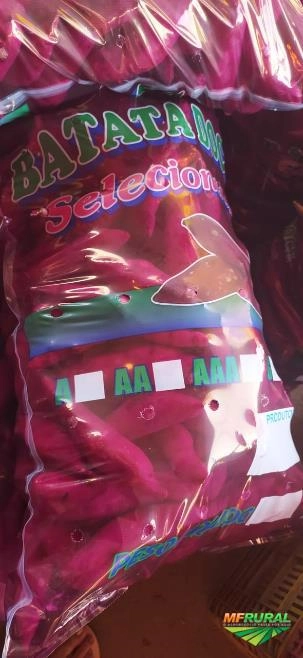 Imagem Batata Doce Imagem Batata Doce