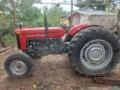 Trator Massey Ferguson 65 X 4x2 ano 71