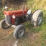 TRATOR MASSEY FERGUSON MF-65X Imagem TRATOR MASSEY FERGUSON MF-65X