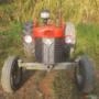 TRATOR MASSEY FERGUSON MF-65X Imagem TRATOR MASSEY FERGUSON MF-65X
