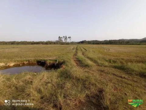 Área de terra para pastagem ou arrozeira