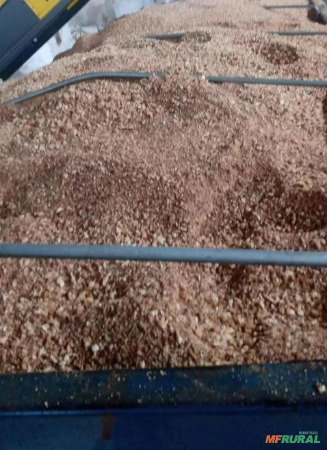 Adquirimos Resíduos Alimentícios em Geral Imagem Adquirimos Resíduos Alimentícios em Geral