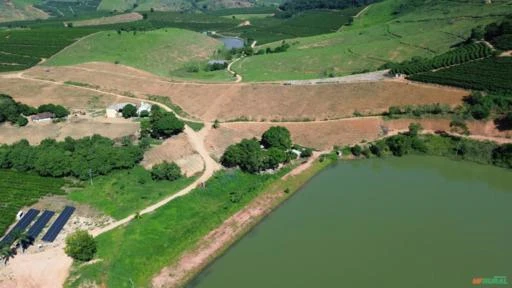 Fazenda de Café em São Domingos do Norte - ES