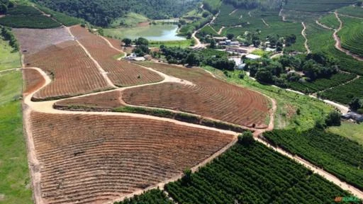 Fazenda de Café em São Domingos do Norte - ES