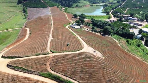 Fazenda de Café em São Domingos do Norte - ES