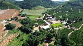 Fazenda de Café em São Domingos do Norte - ES