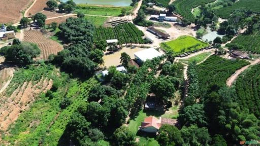 Fazenda de Café em São Domingos do Norte - ES