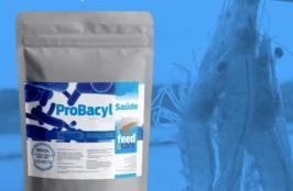 Probiótico para Peixes - Probacyl