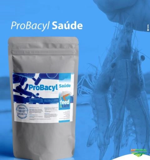 Probiótico para Peixes - Probacyl Imagem Probiótico para Peixes - Probacyl