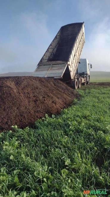 CAMA DE AVIÁRIO Imagem CAMA DE AVIÁRIO