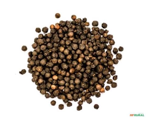 Pimenta do reino Imagem Pimenta do reino