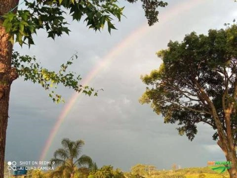 Serviço de jardinagem e paisagismo Imagem Serviço de jardinagem e paisagismo