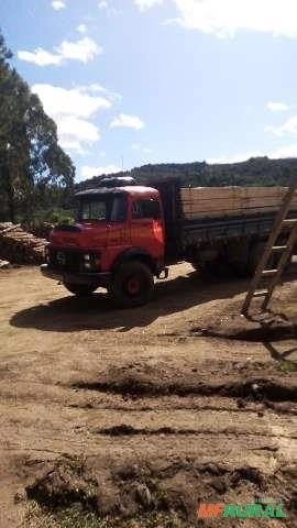 Madeira de pinus Imagem Madeira de pinus
