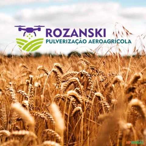 Pulverização agrícola com drone Imagem Pulverização agrícola com drone