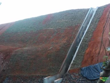 Imagem Grama mato grosso Imagem Grama mato grosso