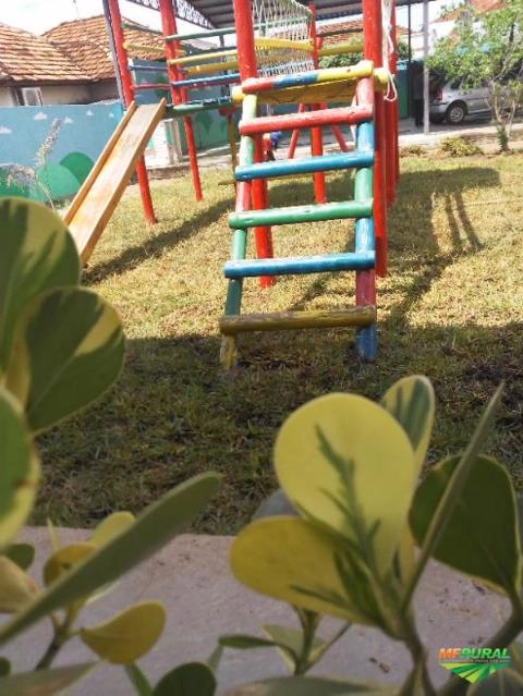 Imagem Grama mato grosso Imagem Grama mato grosso