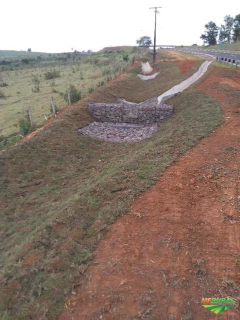 Imagem Grama mato grosso Imagem Grama mato grosso