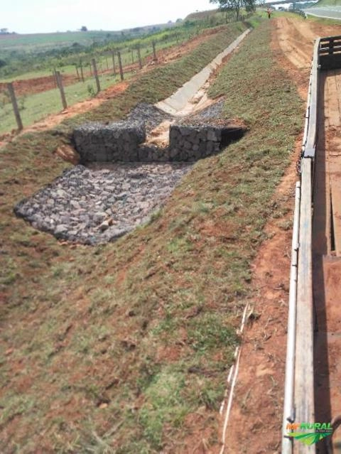 Imagem Grama mato grosso Imagem Grama mato grosso